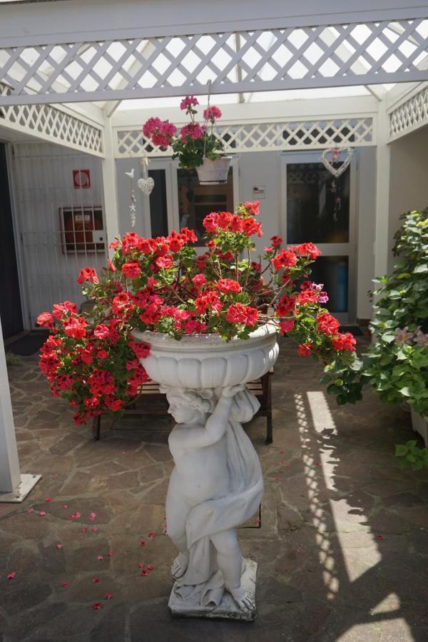 Hotel Diga Marina di Ravenna Zewnętrze zdjęcie