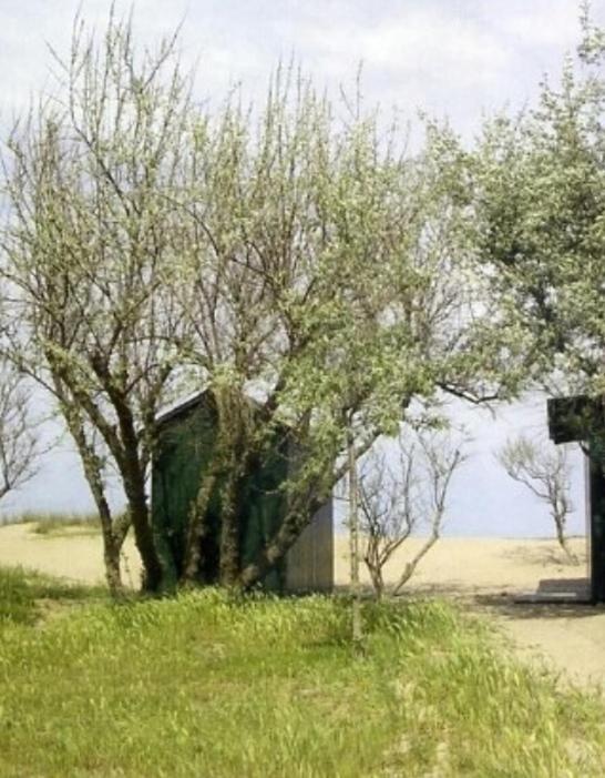 Hotel Diga Marina di Ravenna Zewnętrze zdjęcie